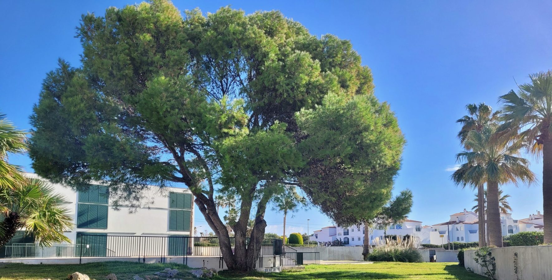 Appartamento con piscina | Can Lara | Cala en Bosc | Menorca